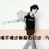 宠物安全知识 课件免费
